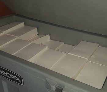 lunch3.jpg